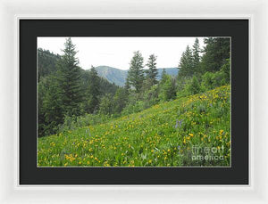 The Hills Are Alive - Framed Print