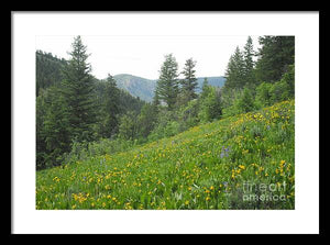 The Hills Are Alive - Framed Print