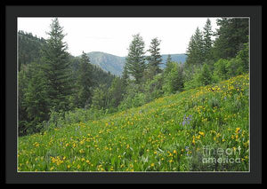 The Hills Are Alive - Framed Print