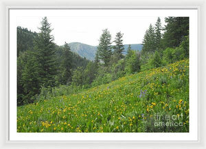 The Hills Are Alive - Framed Print