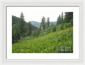 The Hills Are Alive - Framed Print