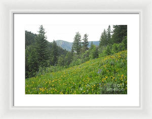 The Hills Are Alive - Framed Print