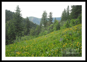 The Hills Are Alive - Framed Print