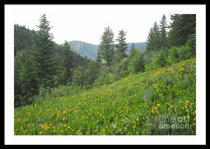 The Hills Are Alive - Framed Print