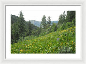 The Hills Are Alive - Framed Print