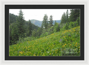 The Hills Are Alive - Framed Print