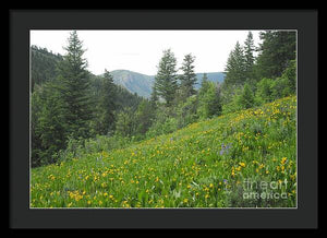 The Hills Are Alive - Framed Print