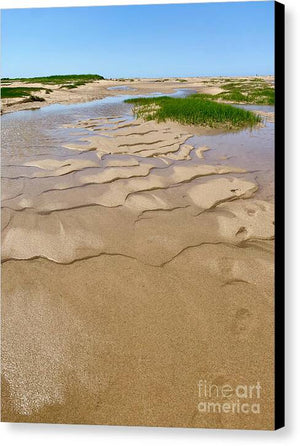 The Sands of Tide - Canvas Print