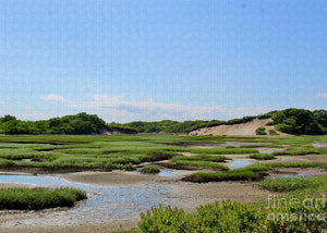 Tides and Dunes - Puzzle