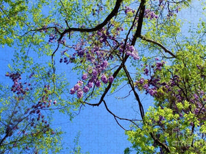 Wisteria Ceiling - Puzzle