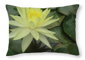 Yellow Water Lilly - Throw Pillow