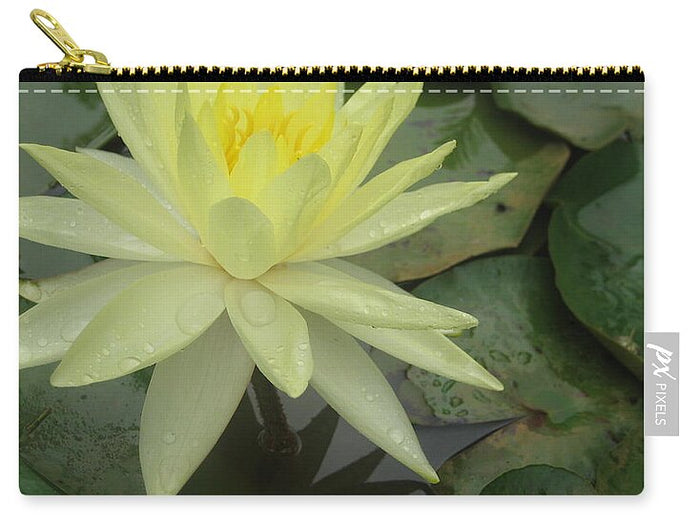 Yellow Water Lilly - Zip Pouch