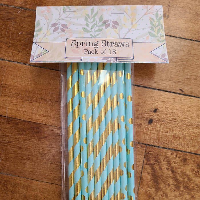 Spring Paper Straws - Teal