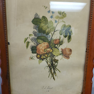 Jean Louis Prévost - Botanical Print