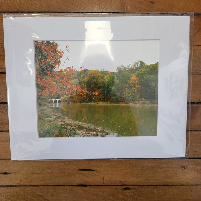 Autumn Leaves at Dunbar Cave - Matted Photo