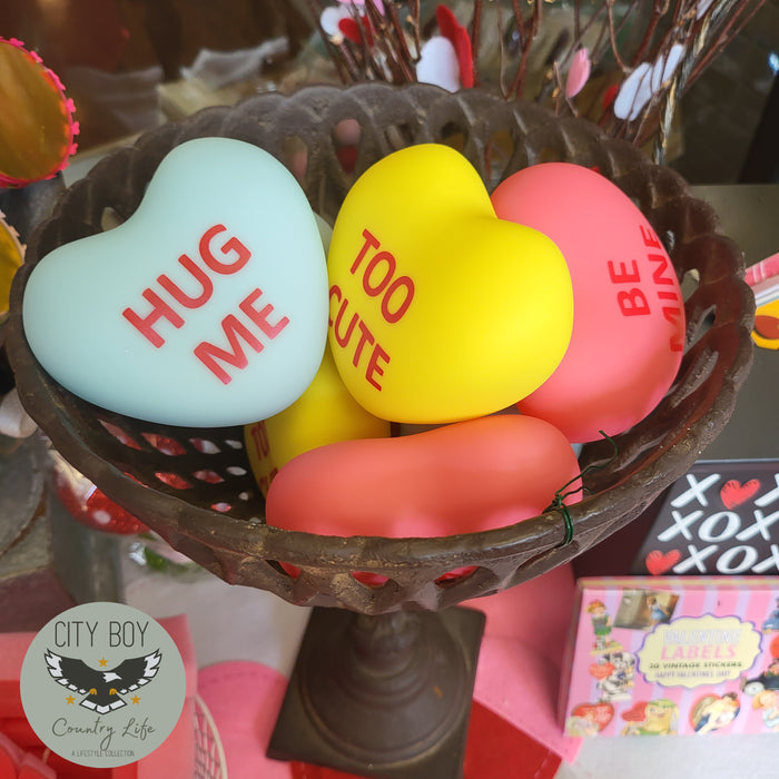 Squeaker Conversation Heart Dog Toy