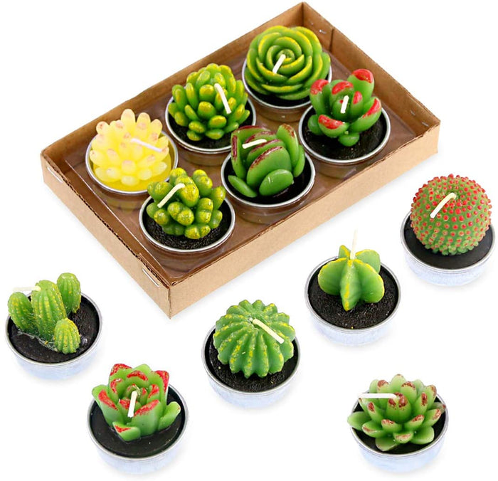 Succulent Tea Lights - Set of 6