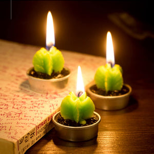 Succulent Tea Lights - Set of 6