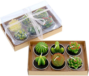 Succulent Tea Lights - Set of 6