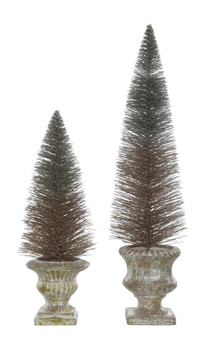 Large Bottle Brush Tree