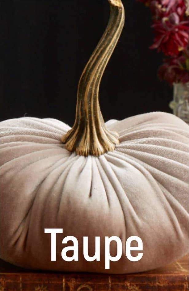 Large Velvet Pumpkin - TAUPE