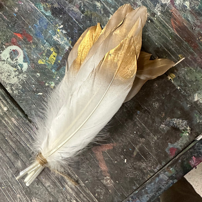 Gold Tipped Feathers