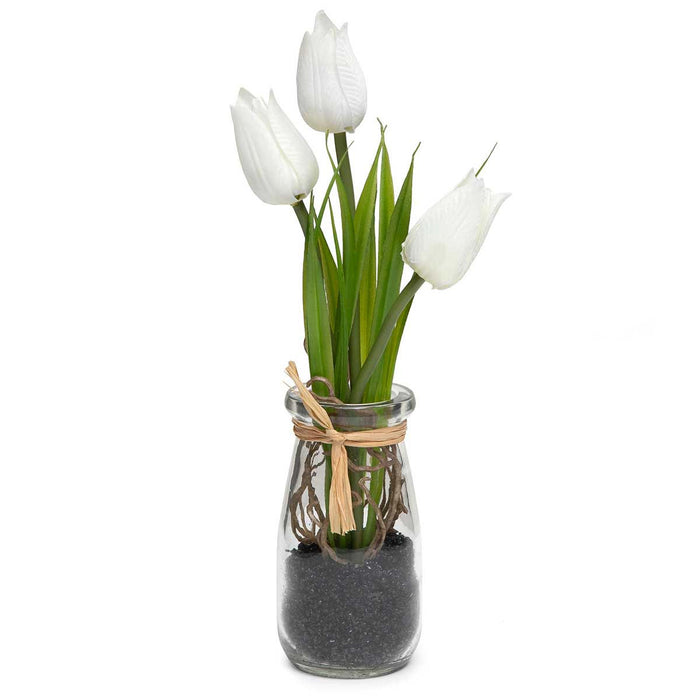 White Tulip in Glass Bottle