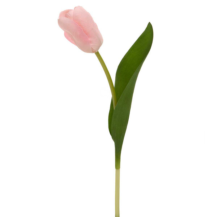 Dutch "Real-Touch" Tulip Stem - PINK
