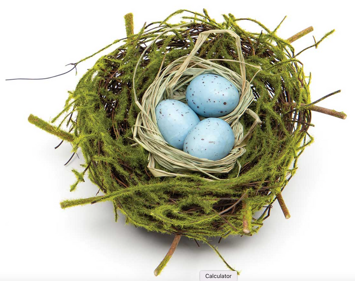 Twig Birds Nest with Blue Eggs