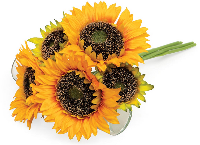 Golden Sunflower Bundle