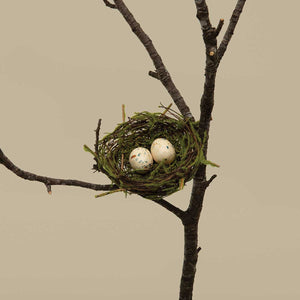 Twig Nest with Eggs