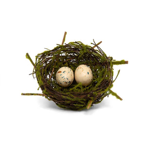 Twig Nest with Eggs