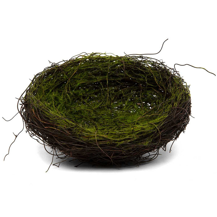 Large Mossy Twig Nest