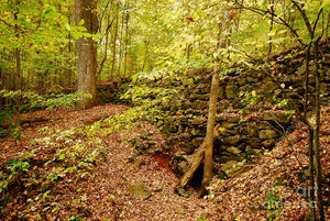 Autumn Rock Wall - Photo Card